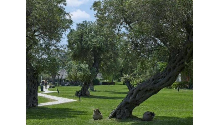 Poza pentru Hotel Dassia Chandris 2773-1568535917 Hotel Dassia Chandris poza 4