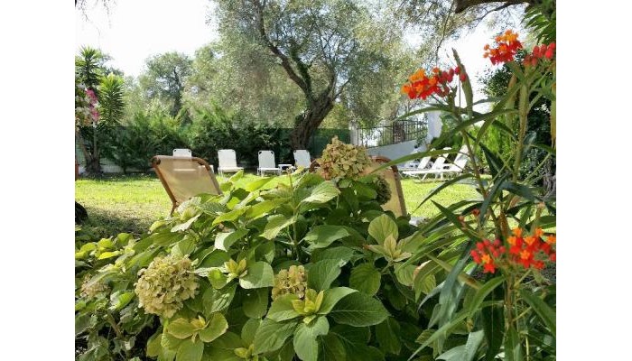 Poza pentru Marilena Apartments & Studios 2788-1564290019 Marilena Apartments & Studios poza 9