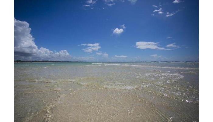 Diani Sea Resort poza 20