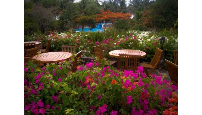 Diani Sea Resort poza 9