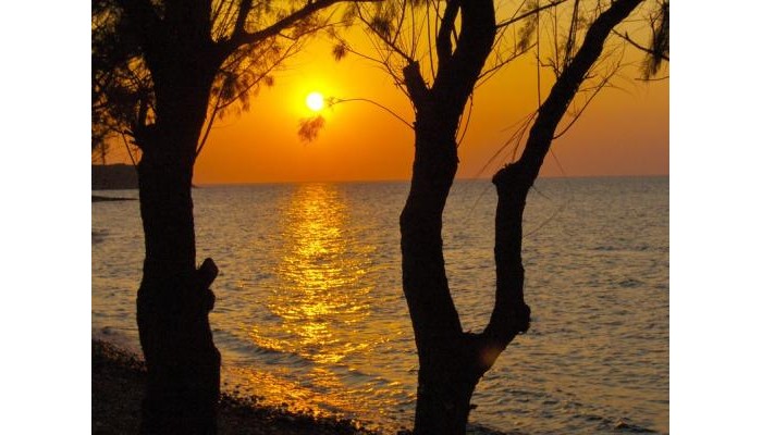 Hotel Bella Vista poza 1