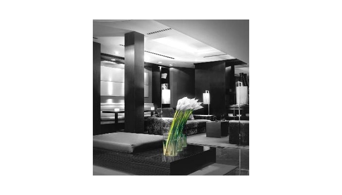 Advance Hotel poza 5