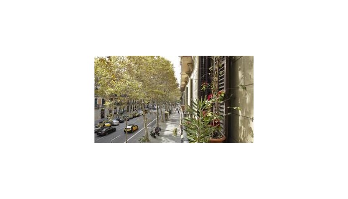 Hotel Brustar Gotic poza 0