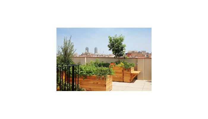 Hotel Casa Bonay poza 3