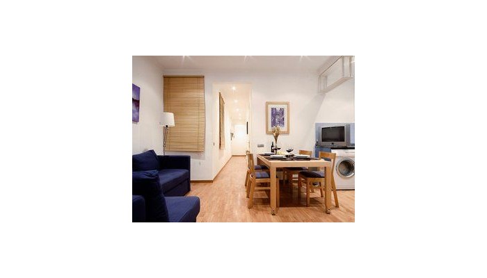 Sagrada Familia Apartments poza 3