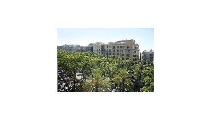 You Stylish Business Apartments poza 2