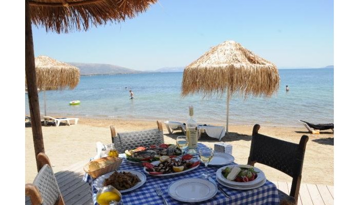 Hotel Brown Beach Evia Island poza 9