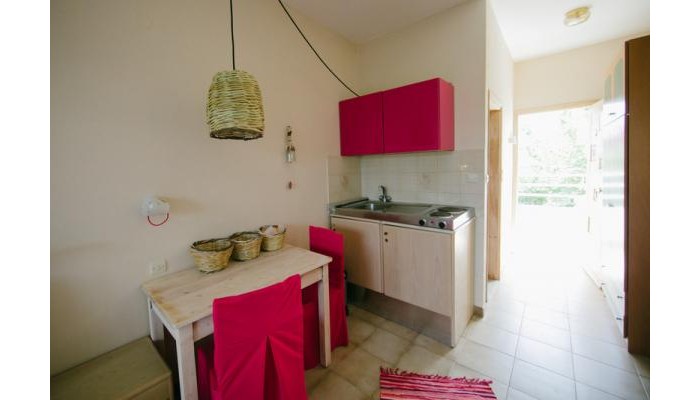 Gorgona Studios poza 10