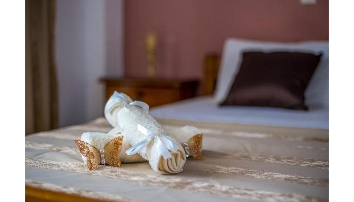 Iatridis Studios poza 6