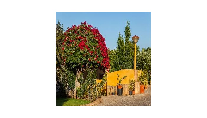 Hotel Montinho De Ouro poza 8