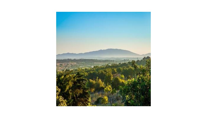 Hotel Montinho De Ouro poza 9