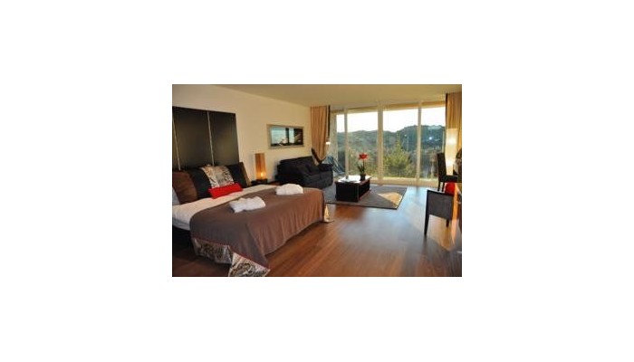 Vila Valverde - Design Country Hotel poza 7