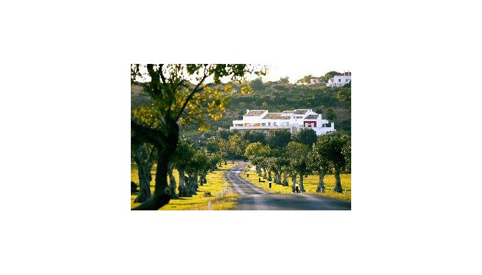 Vila Valverde - Design Country Hotel poza 2