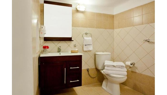 Hotel Alexander`s Boutique poza 6
