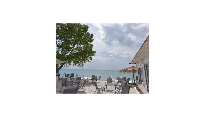 Australia Sea Front Hotel poza 10