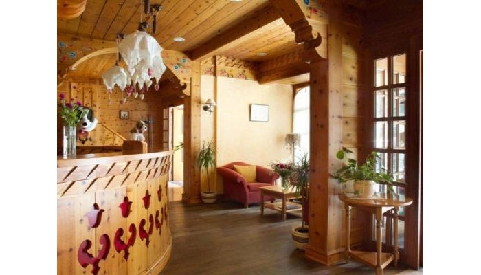 Edelweiss Hotel poza 9