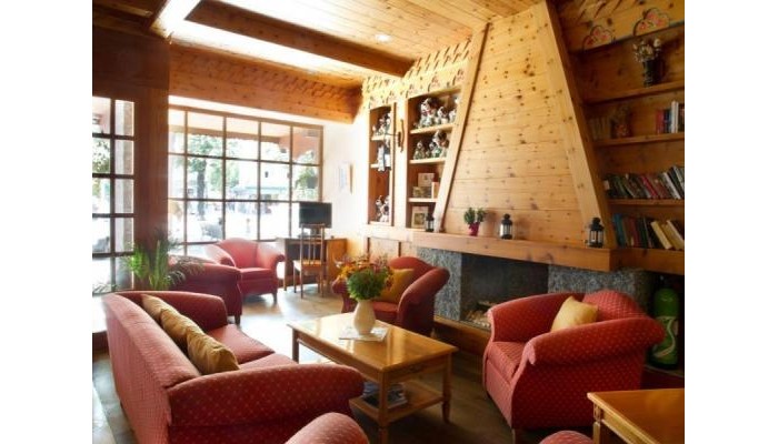 Edelweiss Hotel poza 8