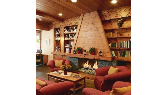 Hotel Edelweiss Manotel poza 9