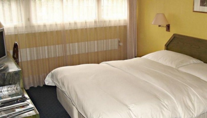 Hotel Hostellerie De La Vendee poza 1