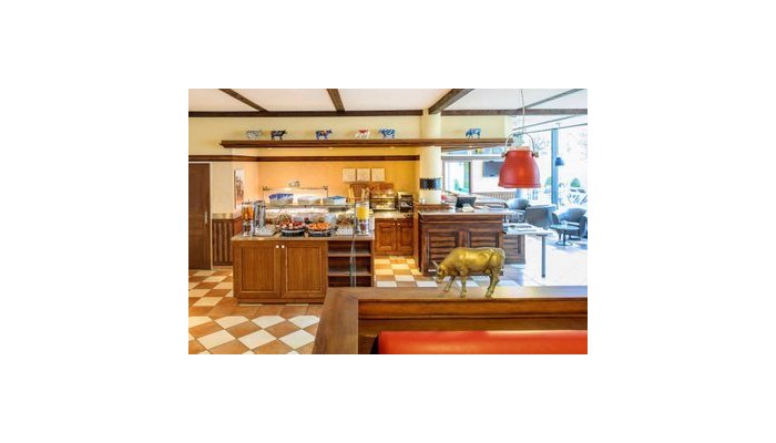 Hotel Ibis Geneve Aeroport poza 7