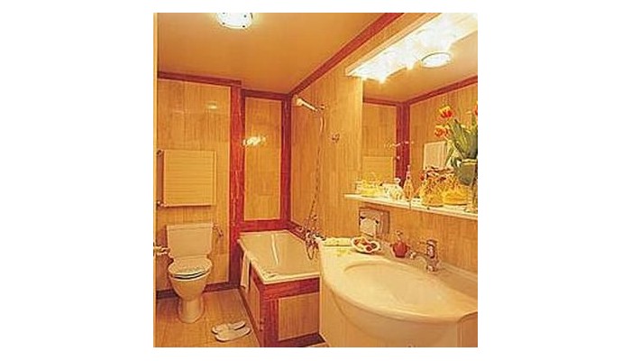 Hotel Suisse Geneve poza 5