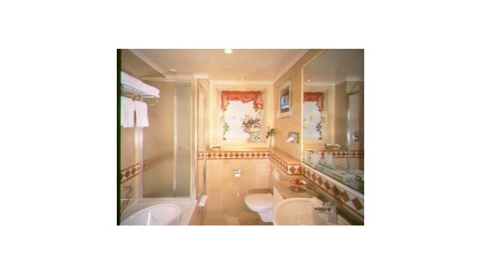 Hotel Swissotel Metropole poza 4