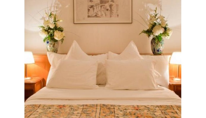 Sagitta Swiss Quality Hotel poza 8