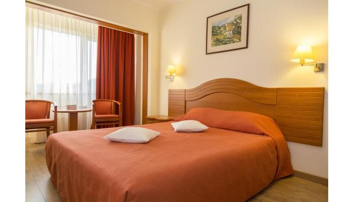 Hotel Germisara poza 8