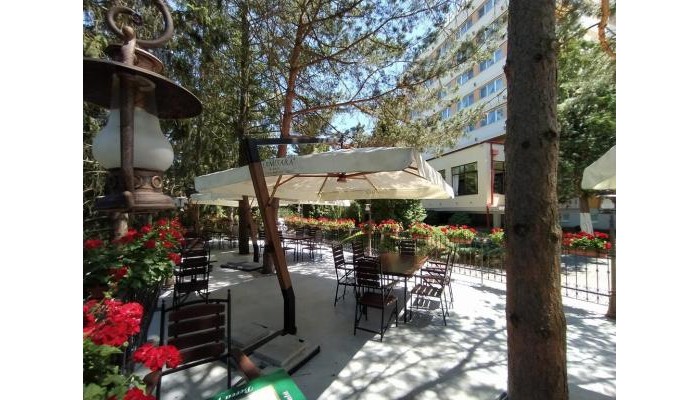 Hotel Germisara poza 10