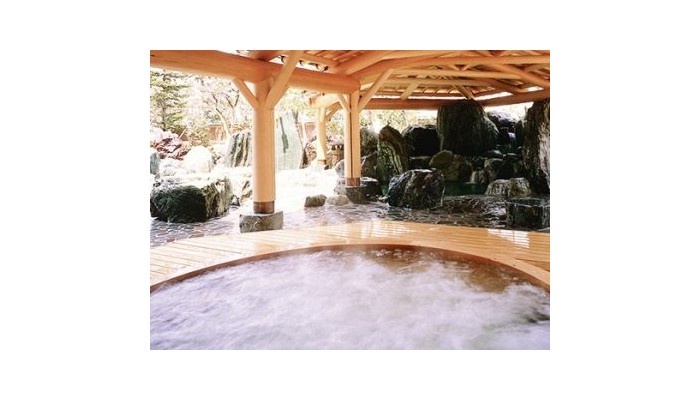 Hotel Takayama Green poza 0