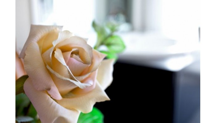 Poza pentru Acacias Hotel Suites & Spa - Lloret 192-1487693138 Acacias Hotel Suites & Spa - Lloret poza 6