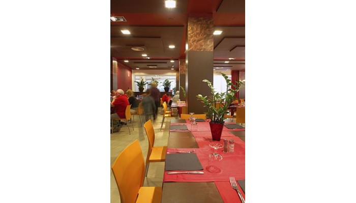 Alegria Plaza Paris Hotel **** poza 6