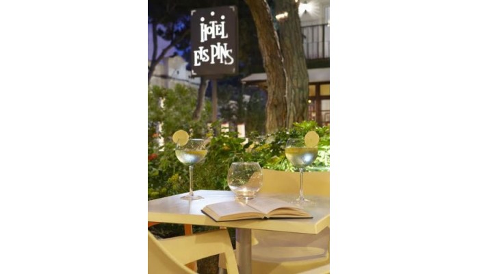 Poza pentru Els Pins Hotel 622-1487698404 Els Pins Hotel poza 8