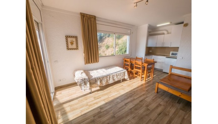 Poza pentru Hotel Apartamentos Muntanya Mar - Blanes 822-1487703248 Hotel Apartamentos Muntanya Mar - Blanes poza 7