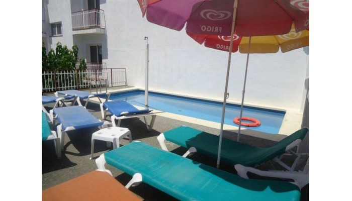 Poza pentru Hotel Armonia 551-1487703339 Hotel Armonia poza 7