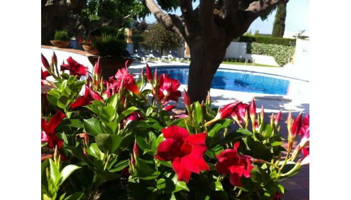 Poza pentru Hotel Bon Retorn - Figueres 682-1487699087 Hotel Bon Retorn - Figueres poza 10