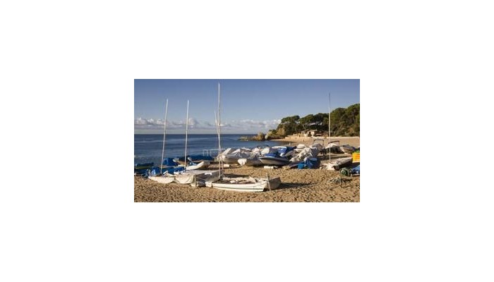 Poza pentru Hotel Bonsol Lloret 597-1487702214 Hotel Bonsol Lloret poza 8