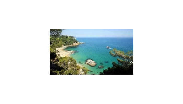 Poza pentru Hotel Bonsol Lloret 799-1487702213 Hotel Bonsol Lloret poza 6