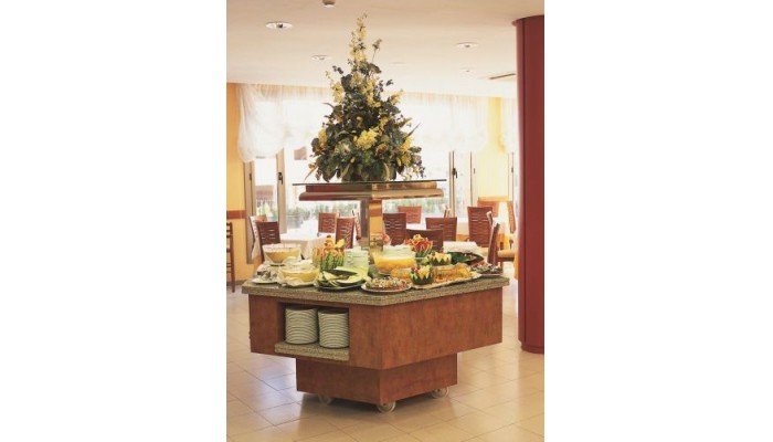 Poza pentru Hotel Fenals Garden - Lloret 953-1487695377 Hotel Fenals Garden - Lloret poza 0