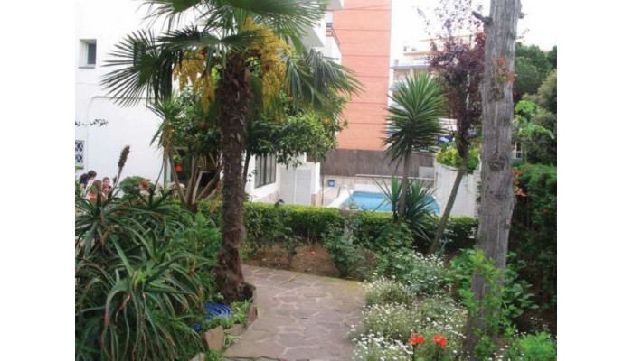 Poza pentru Hotel Hostal Magnolia 570-1487702501 Hotel Hostal Magnolia poza 9