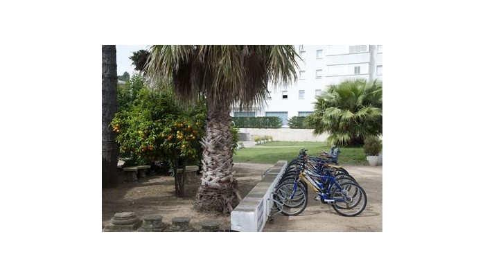 Poza pentru Hotel Marina - Tossa 844-1487703698 Hotel Marina - Tossa poza 7