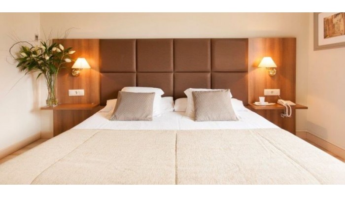 Poza pentru Hotel Pirineos 251-1487696924 Hotel Pirineos poza 8