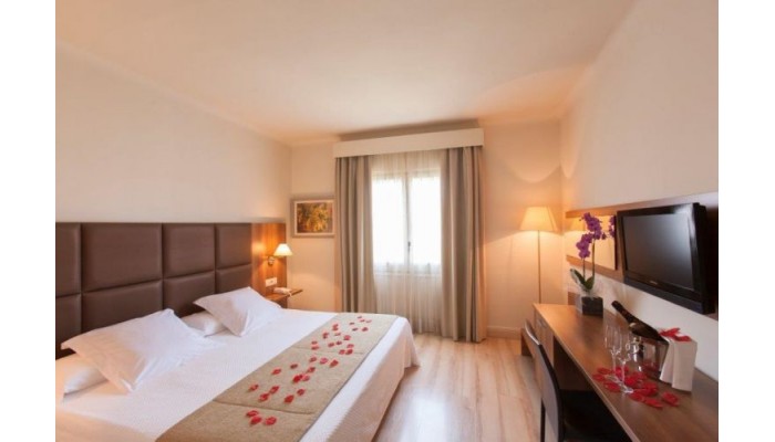 Poza pentru Hotel Pirineos 999-1487696929 Hotel Pirineos poza 11