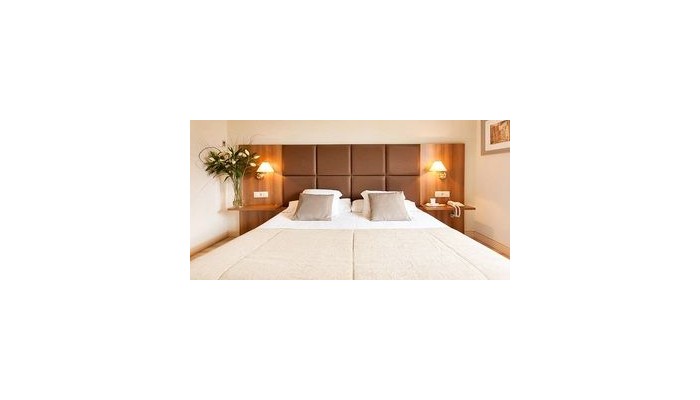 Poza pentru Hotel Pirineos Pelegri 237-1487696944 Hotel Pirineos Pelegri poza 10