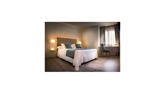Poza pentru Hotel Pirineos Pelegri 850-1487696943 Hotel Pirineos Pelegri poza 9