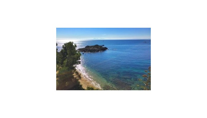 Poza pentru Hotel Vistabella 890-1487693064 Hotel Vistabella poza 8