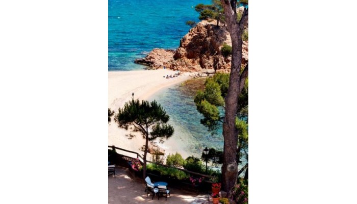 Poza pentru Silken Park San Jorge Hotel. 409-1487697198 Silken Park San Jorge Hotel. poza 5