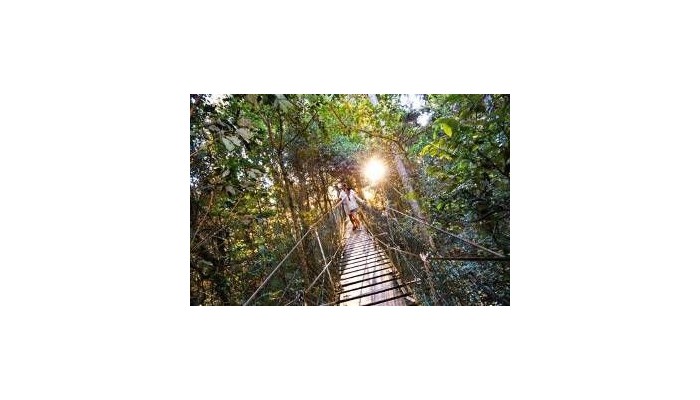 Hotel O'reilly's Rainforest Retreat poza 10