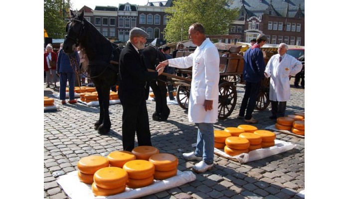 Best Western Plus City Hotel Gouda poza 6