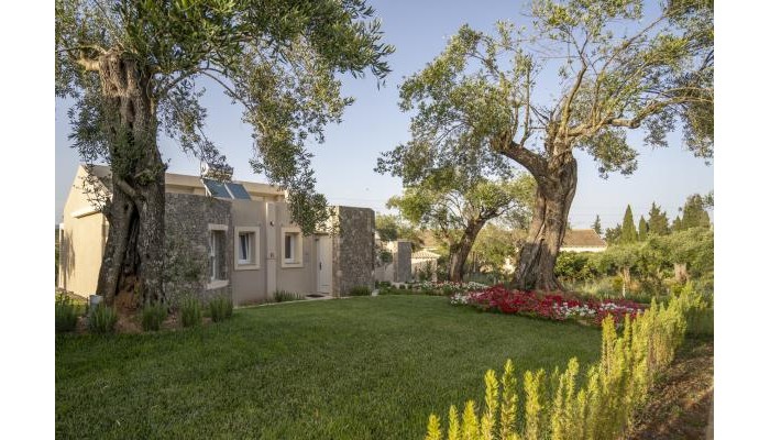 Poza pentru Art Hotel Debono 8049-1635419857 Art Hotel Debono poza 23